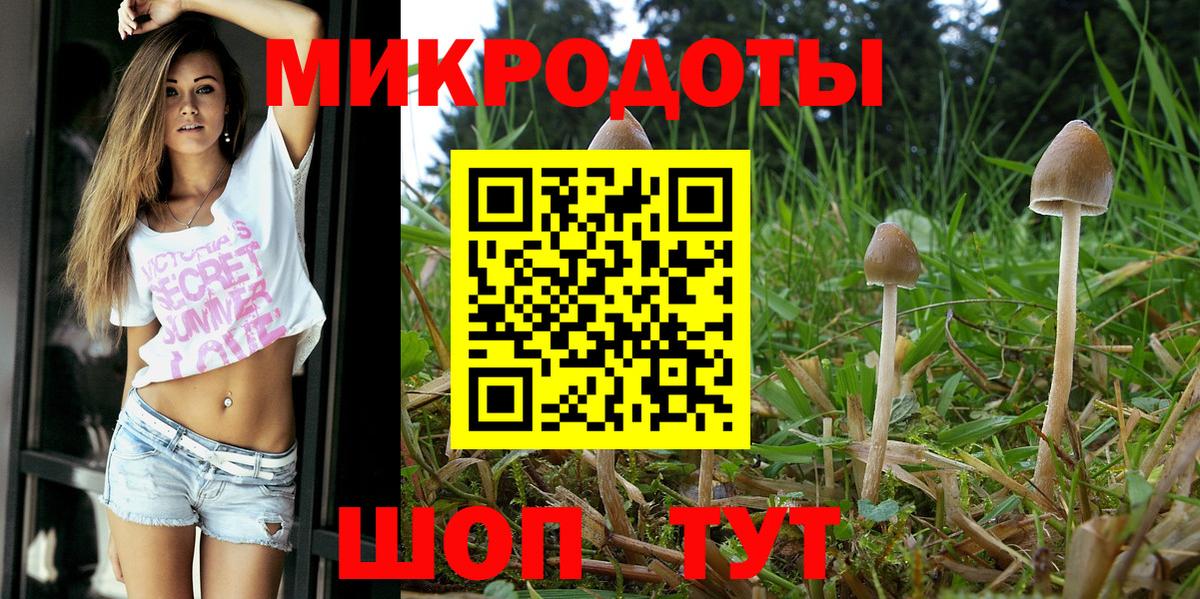 Псилоцибиновые грибы GOLDEN TEACHER Кропоткин